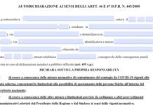 Autocertificazione spostamenti Novembre 2020 (PDF)