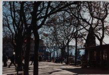 Bisignano, un plauso a quanti operano in silenzio