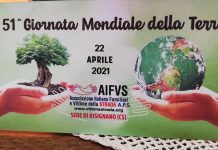 Alberi della speranza piantati dall’Aifvs – FOTO