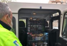 Banco di solidarietà, un aiuto concreto