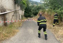 Fucile chiede al Commissario di intervenire per la sicurezza