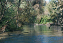 Fiume Crati, una ricchezza da valorizzare fiume crati