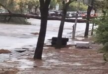 Maltempo, venti e temporali in tutta la regione