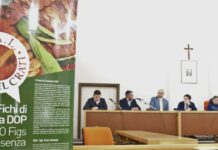 Fico e filiera, Bisignano risponde presente