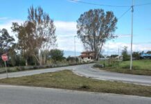 Taglio erba, l’assessore Nicoletti fa il punto sulla situazione di Bisignano