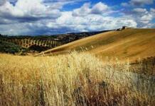 Associazioni ambientali scrivono alla Regione: vanno garantiti gli ecosistemi