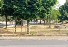 Adotta un’aiuola: quando le buone idee hanno il sapore del già visto…