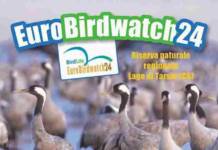 Euro Birdwatch, appuntamento da non perdere