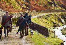 Caccia in Calabria: la preapertura da oggi 1 Settembre 2024