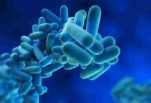 Legionellosi, pericolo serio: l’Asp invita all’attenzione