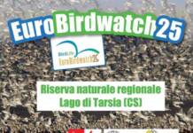 Eurobirdwatch 2025 tra meraviglia e scienza.