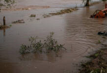 Valle del Crati ferita: l’orgoglio di un popolo più forte del fango