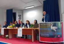 Cicogna bianca, un progetto che ha solide basi