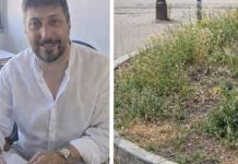 Bisignano e il progetto “Adotta un’aiuola”: quando la comunicazione vale più del contenuto