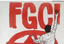 FGCI, gli anni in cui credevamo di cambiare il mondo (a cura di Rosalbino Turco)