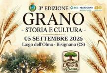 Terza edizione della festa del Grano: l’Olmo di Piano vi aspetta per sabato 5 settembre