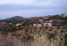 Primavera a Bisignano, bel tempo in arrivo